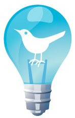 bird in bulb