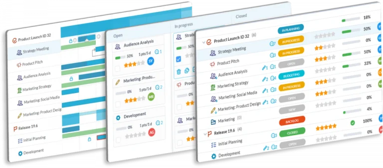 project management software